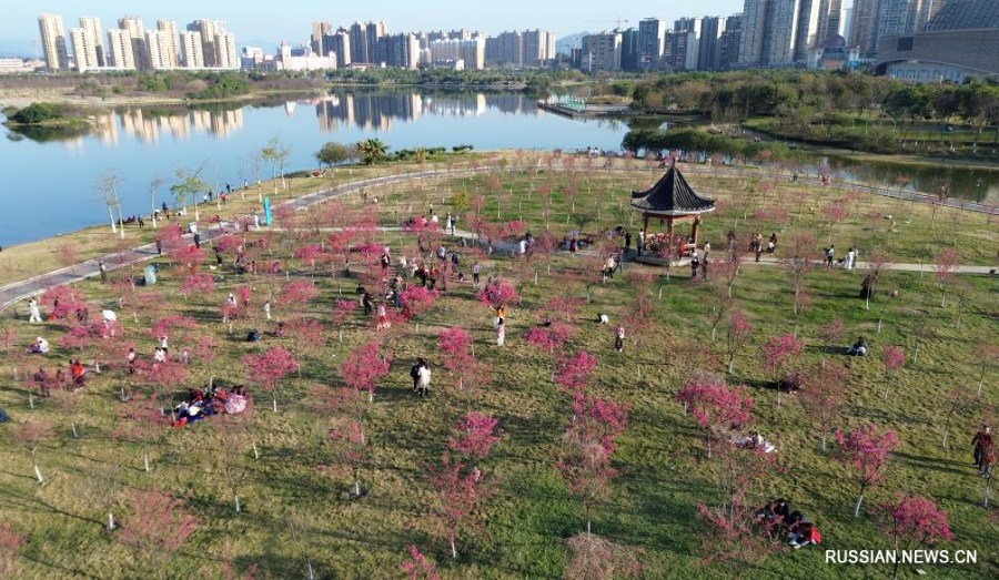 В Китае весело отмечают праздник Весны