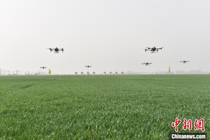 Технологии расширяют возможности сельскохозяйственного производства в Хэбэе