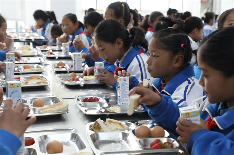 В Ганьсу более 1,53 млн учащихся принимают участие в программе по организации питания школьников